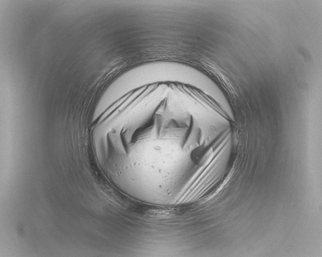 X0000116140170200912211456