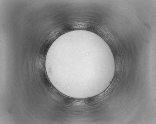 X0000116140175200912211456