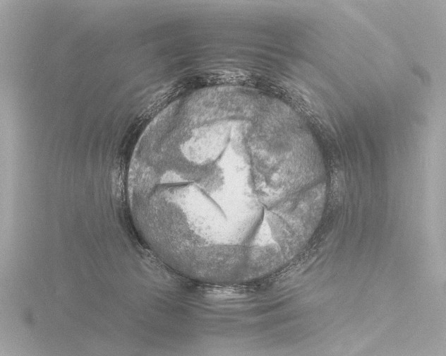 X0000116140177200912211456