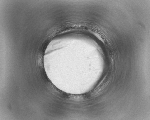 X0000116140185200912211456