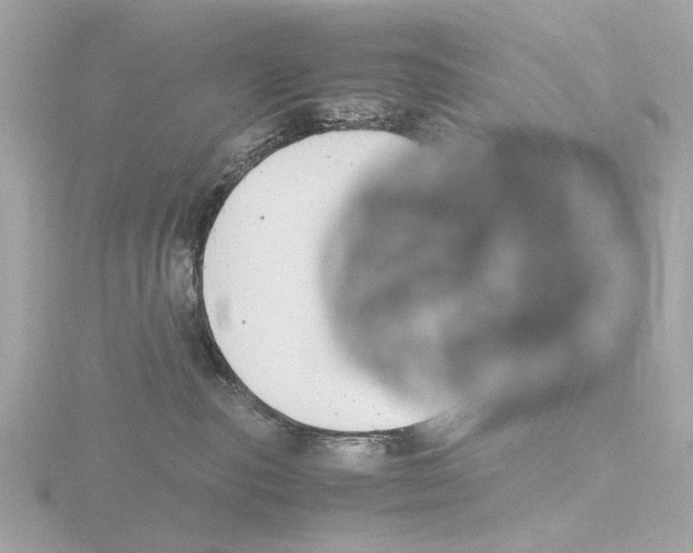 X0000116140187200912211456