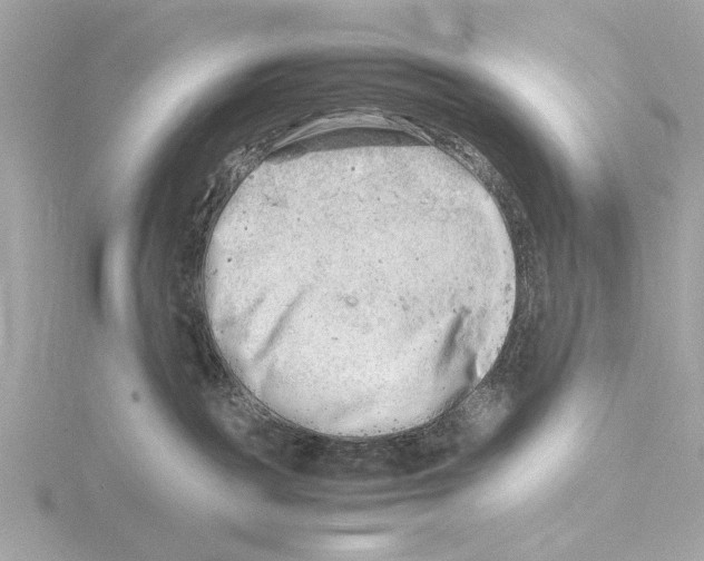 X0000116140189200912211456