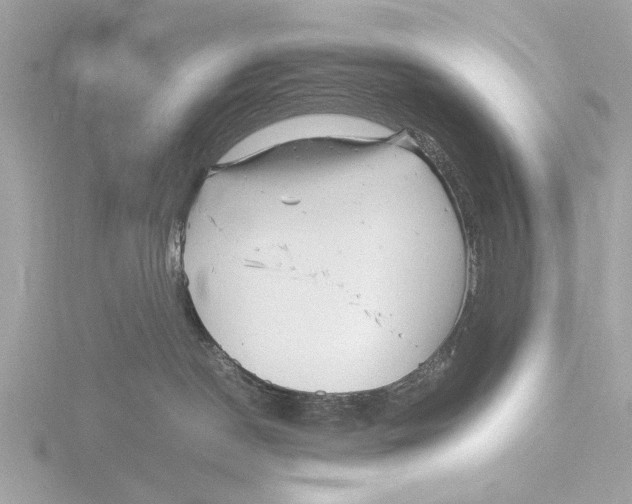 X0000116140190200912211456