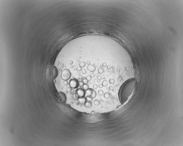 X0000116140191200912211456