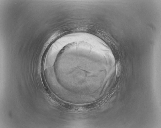 X0000116140195200912211455