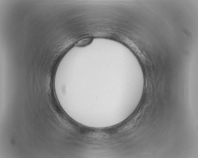 X0000116140201200912211455