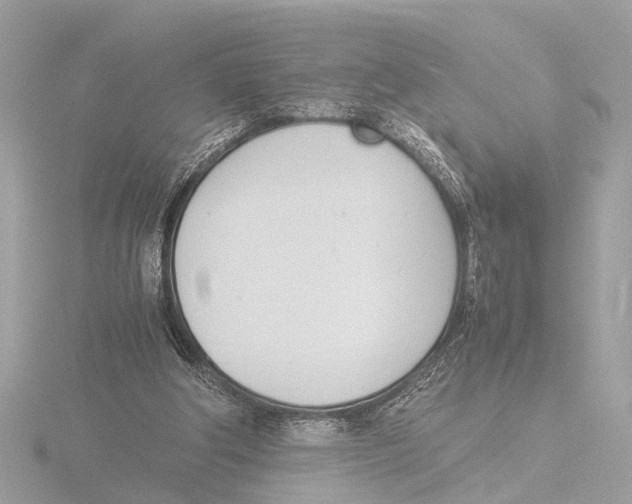 X0000116140202200912211455