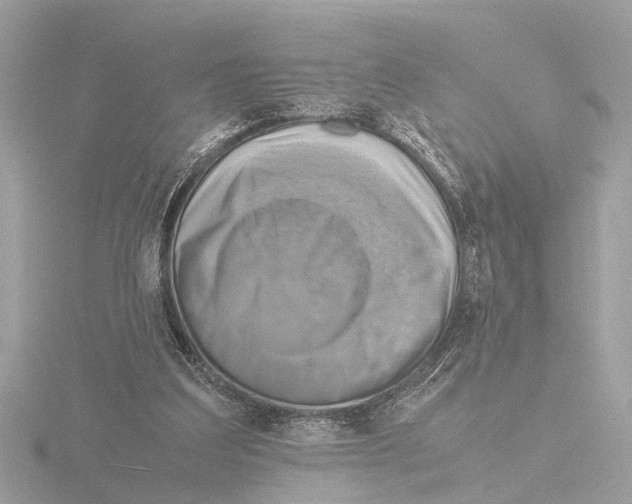 X0000116140203200912211455