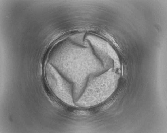 X0000116140205200912211455