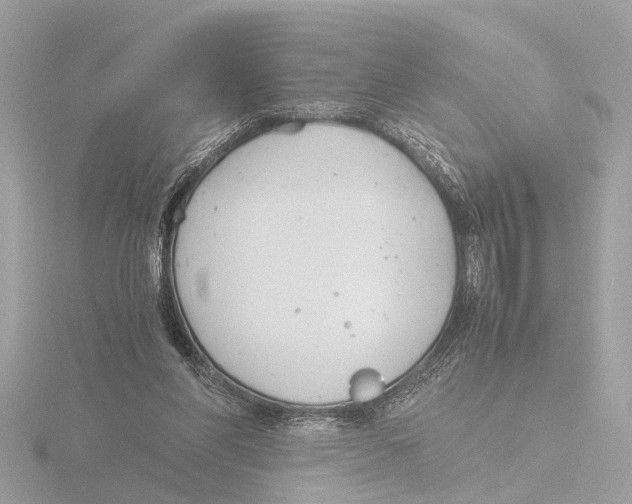 X0000116140206200912211455