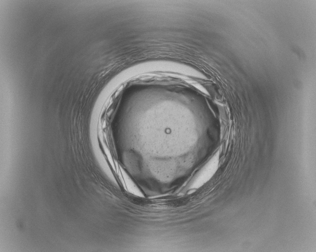 X0000116140219200912211455