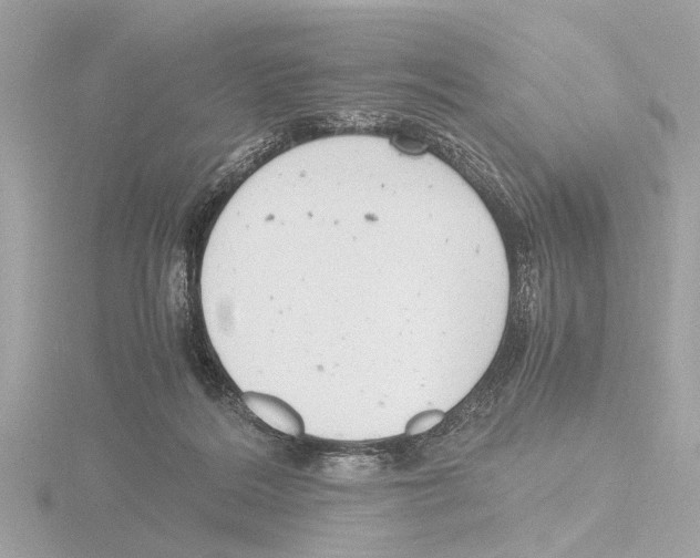 X0000116140220200912211455