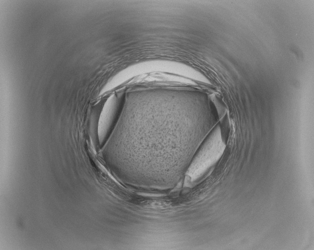 X0000116140223200912211455