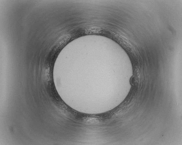 X0000116140224200912211455