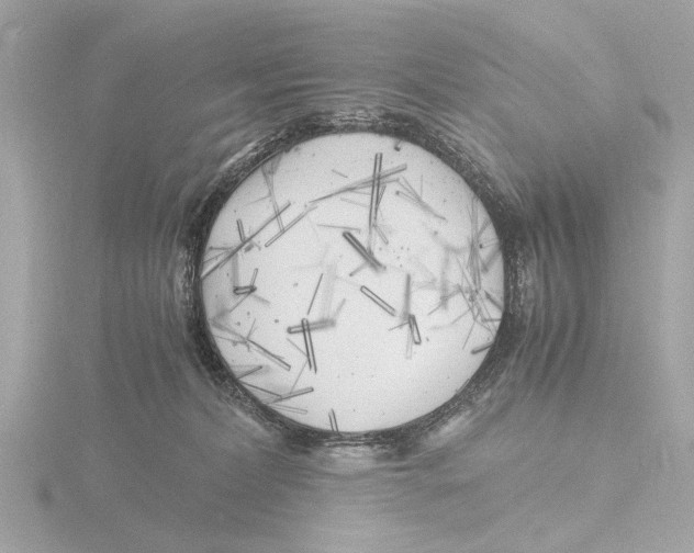 X0000116140228200912211455