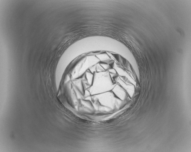 X0000116140229200912211455