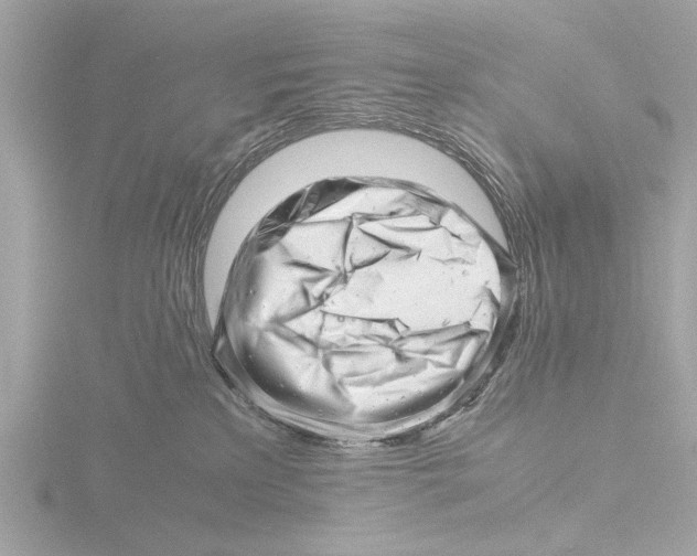 X0000116140233200912211455