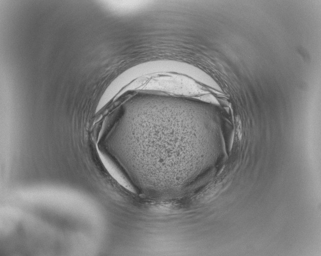 X0000116140235200912211455