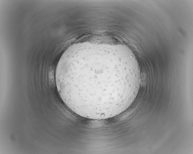 X0000116140238200912211455