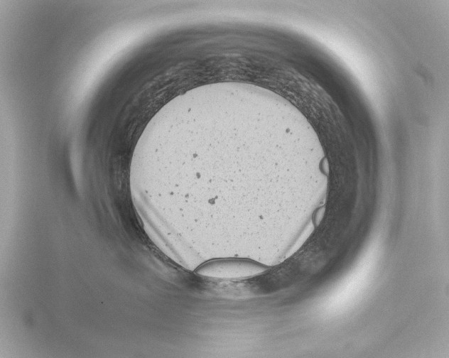 X0000116140239200912211455