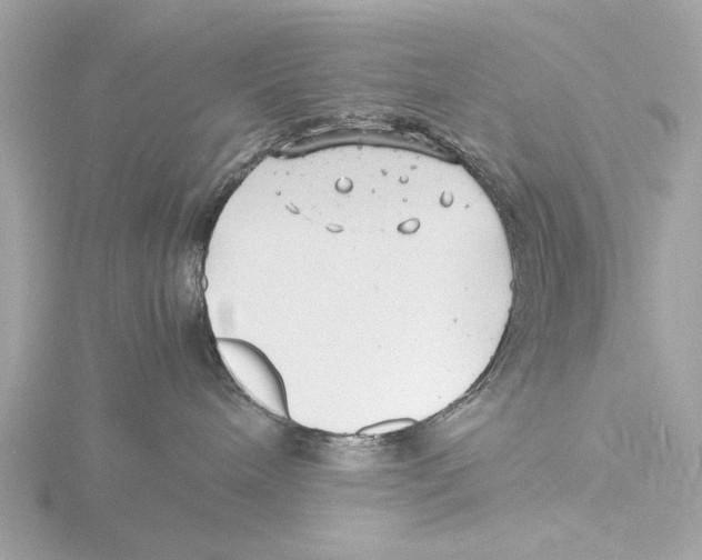 X0000116140240200912211455