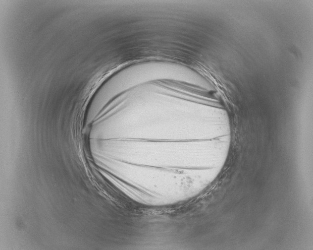 X0000116140241200912211454