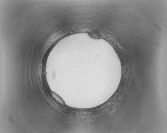 X0000116140242200912211454