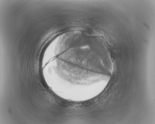 X0000116140243200912211454