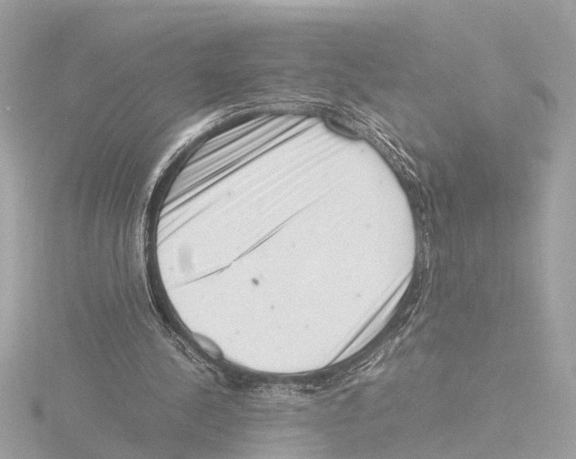 X0000116140244200912211454