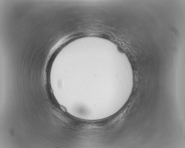 X0000116140246200912211454