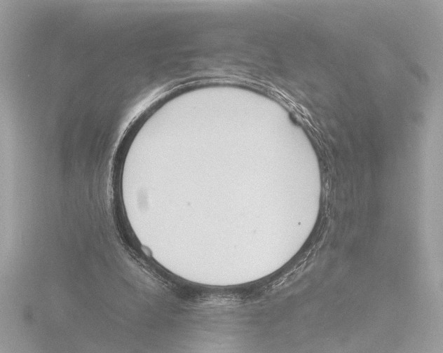 X0000116140248200912211454