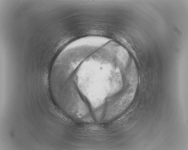 X0000116140249200912211454