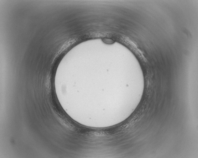 X0000116140250200912211454