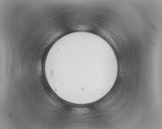 X0000116140251200912211454