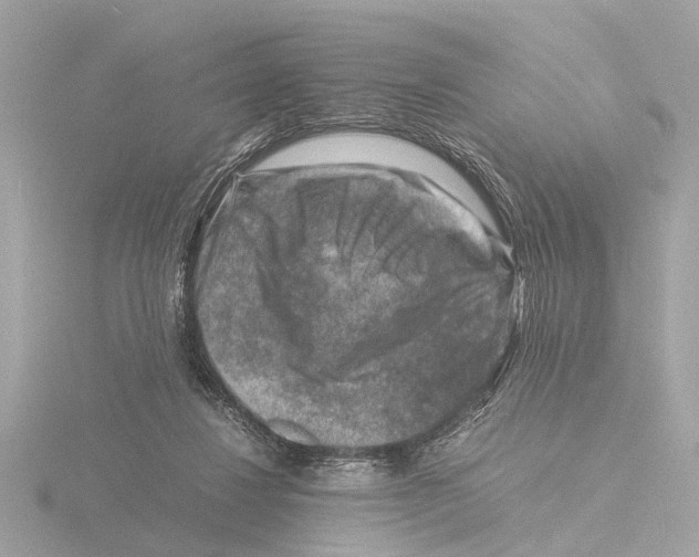 X0000116140260200912211454