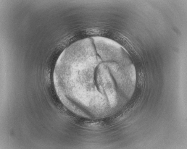 X0000116140267200912211455