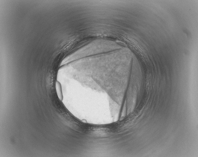 X0000116140268200912211455