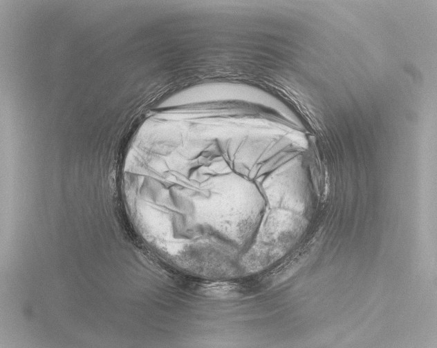 X0000116140269200912211455