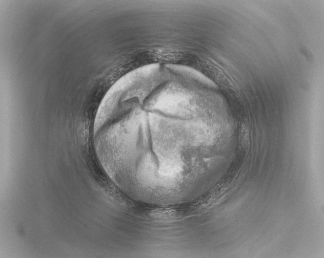 X0000116140271200912211455