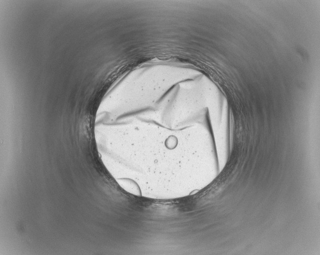 X0000116140280200912211455