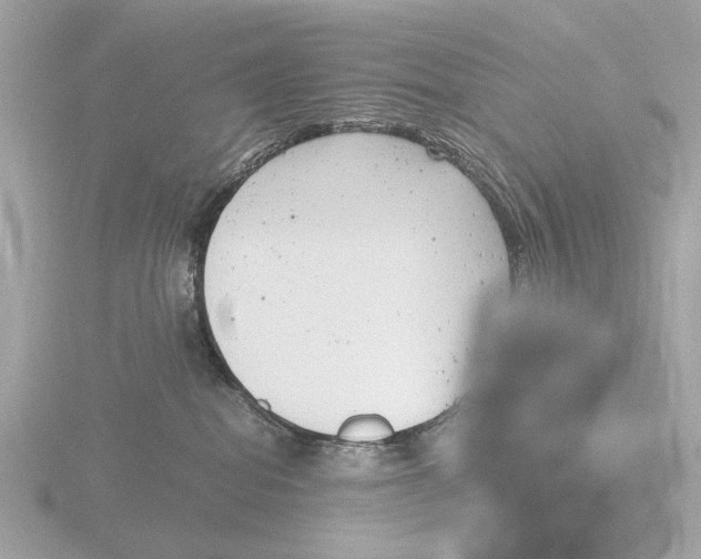 X0000116140282200912211455