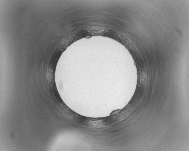 X0000116140283200912211455