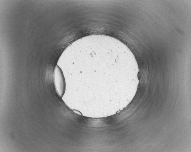 X0000116140287200912211455