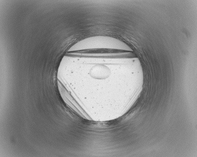 X0000116140288200912211455