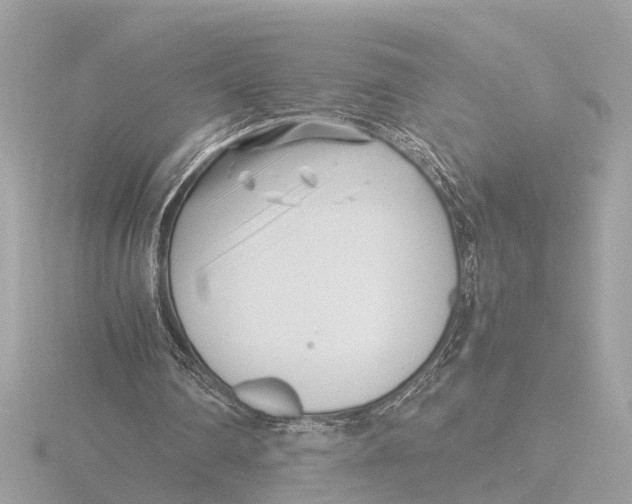 X0000116140290200912211454