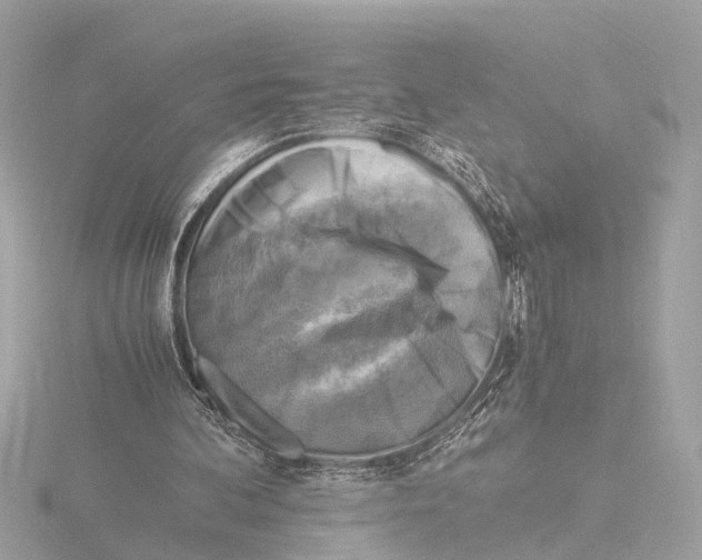 X0000116140292200912211454