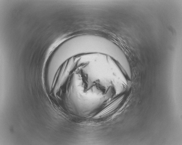 X0000116140294200912211454