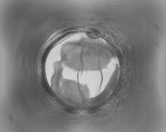 X0000116140295200912211454