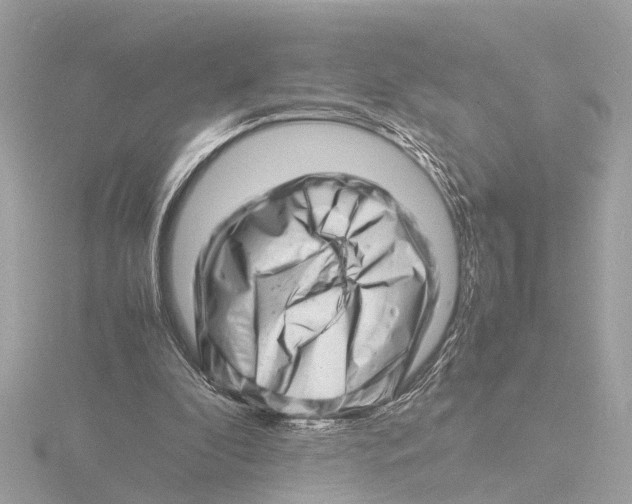 X0000116140296200912211454