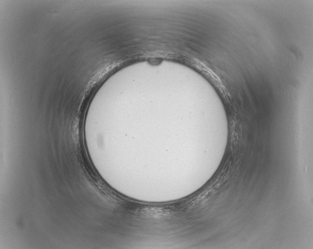 X0000116140298200912211454